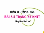 Bài 8.5 trang 65 Toán 10 tập 2 Kết nối tri thức